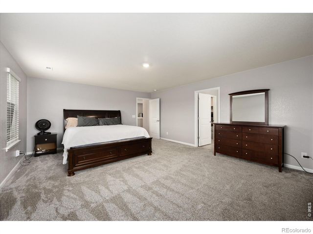 1937 Raindrop Drive, Windsor, CO 80550