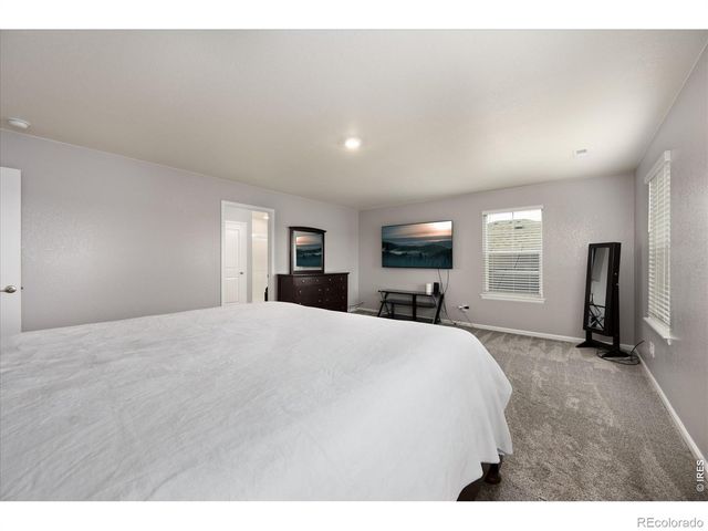 1937 Raindrop Drive, Windsor, CO 80550