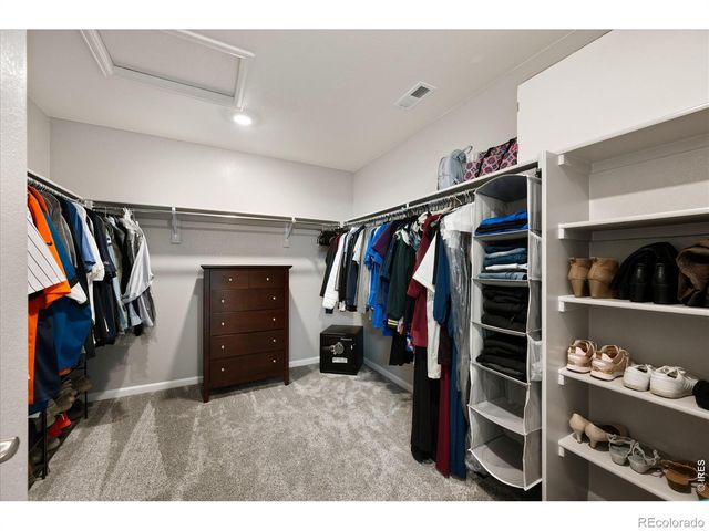 1937 Raindrop Drive, Windsor, CO 80550