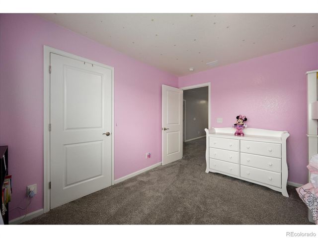 1937 Raindrop Drive, Windsor, CO 80550