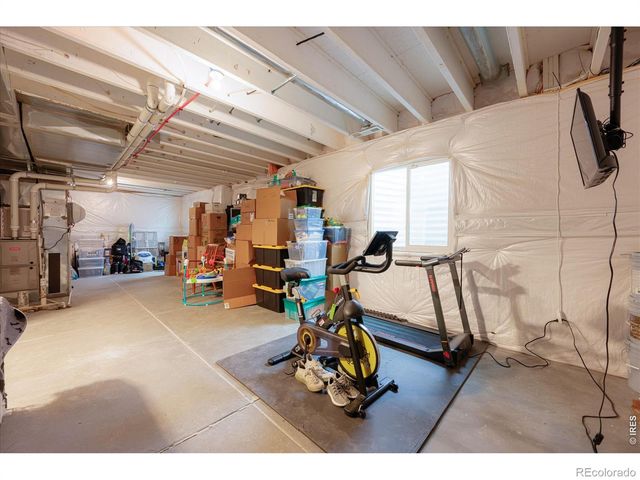 1937 Raindrop Drive, Windsor, CO 80550