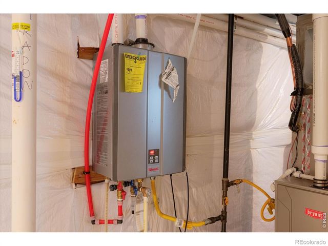 1937 Raindrop Drive, Windsor, CO 80550