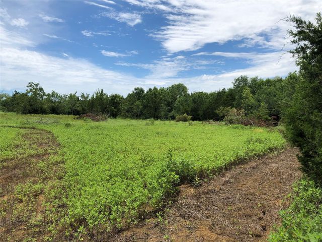 001 Steele Road, Highlands, TX 77562