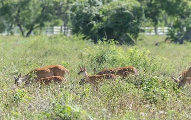 001 Steele Road, Highlands, TX 77562