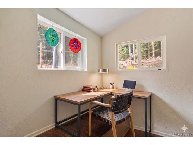 388 Saw mill Ln, Idaho Springs, CO 80452