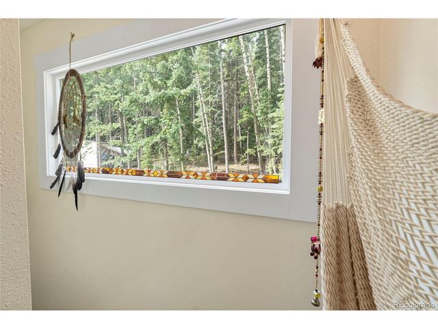 388 Saw mill Ln, Idaho Springs, CO 80452
