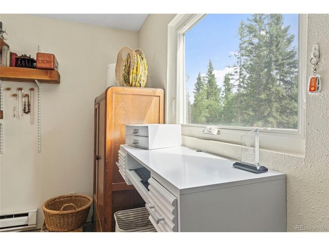 388 Saw mill Ln, Idaho Springs, CO 80452