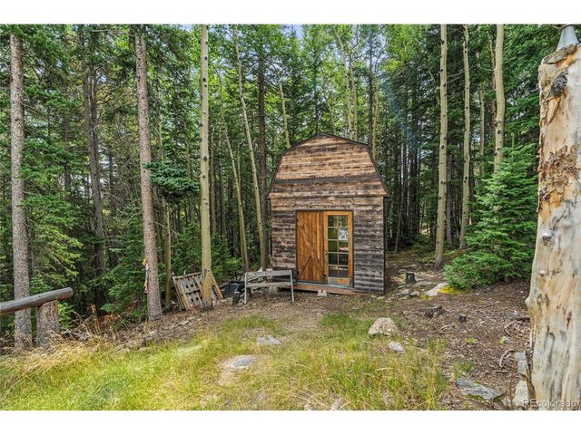 388 Saw mill Ln, Idaho Springs, CO 80452