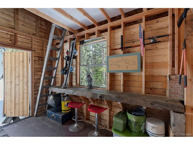388 Saw mill Ln, Idaho Springs, CO 80452