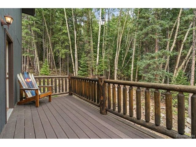 388 Saw mill Ln, Idaho Springs, CO 80452