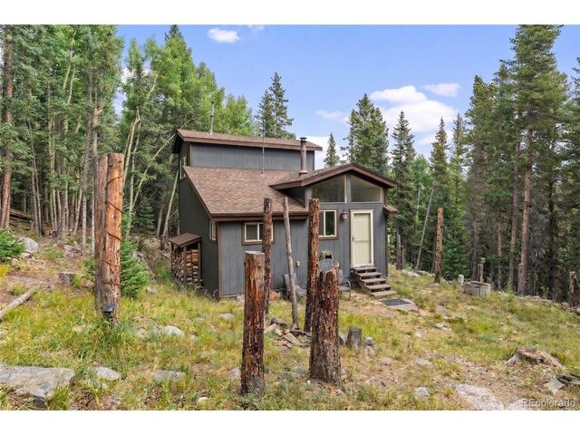 388 Saw mill Ln, Idaho Springs, CO 80452