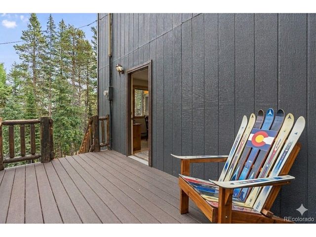 388 Saw mill Ln, Idaho Springs, CO 80452