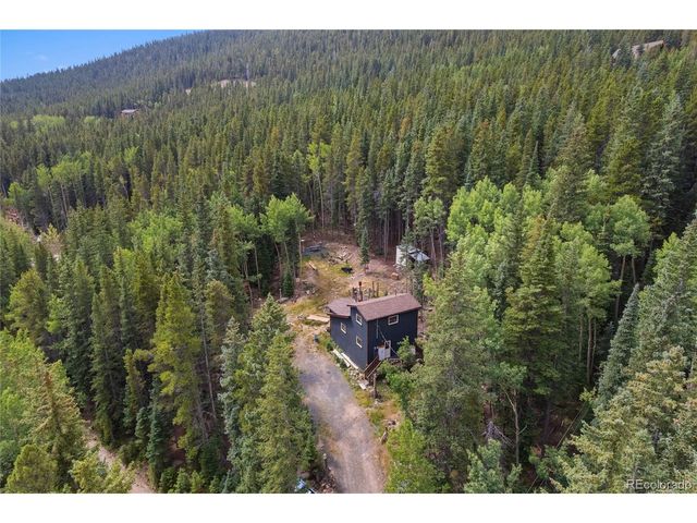 388 Saw mill Ln, Idaho Springs, CO 80452