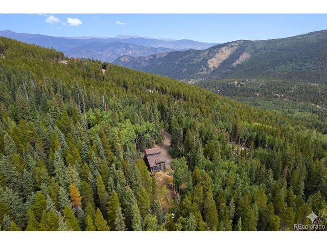 388 Saw mill Ln, Idaho Springs, CO 80452
