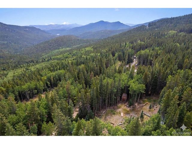 388 Saw mill Ln, Idaho Springs, CO 80452