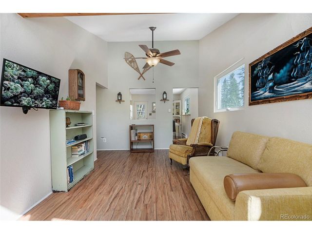 388 Saw mill Ln, Idaho Springs, CO 80452