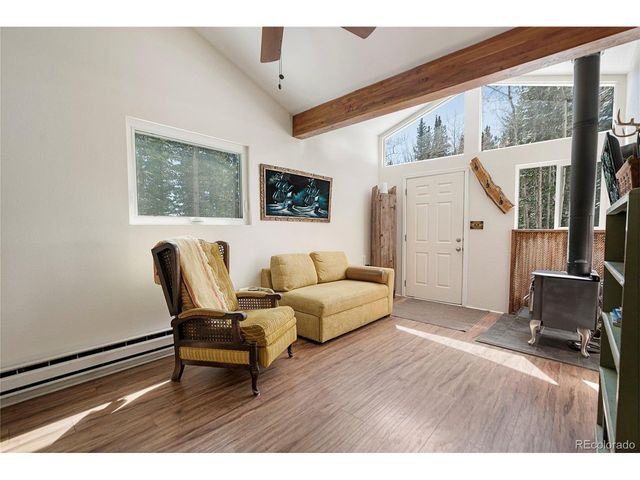 388 Saw mill Ln, Idaho Springs, CO 80452