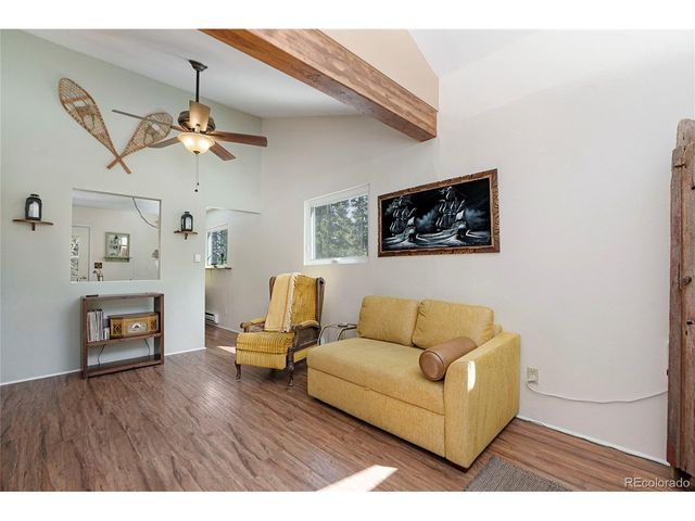 388 Saw mill Ln, Idaho Springs, CO 80452