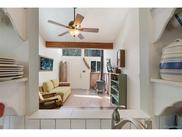 388 Saw mill Ln, Idaho Springs, CO 80452