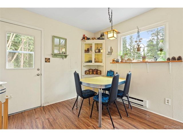 388 Saw mill Ln, Idaho Springs, CO 80452