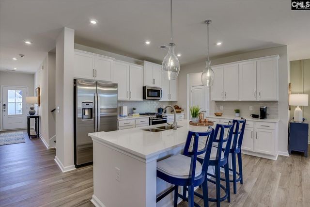 288 Chapin Place Way, Chapin, SC 29036