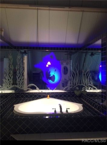 5191 E Anna Jo Drive, Inverness, FL 34452