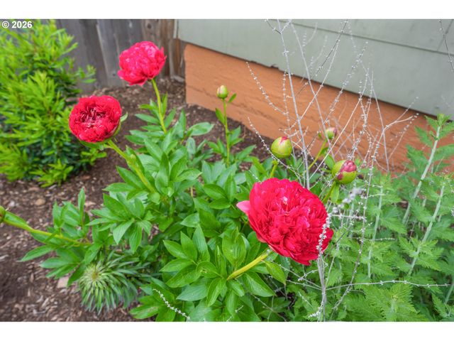 3523 Ne 70TH Ave, Portland, OR 97213
