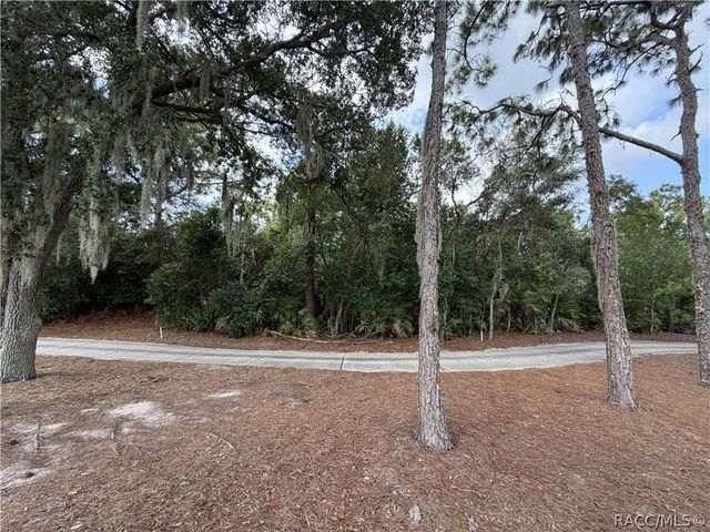 3075 N Barton Creek Circle, Lecanto, FL 34461