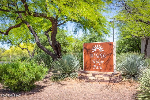 138 E Elixir Place, Oro Valley, AZ 85755