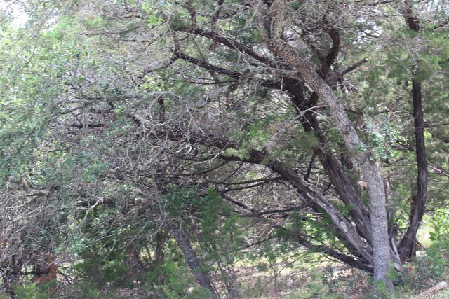 TBD Colleen, Canyon Lake, TX 78133