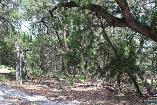 TBD Colleen, Canyon Lake, TX 78133