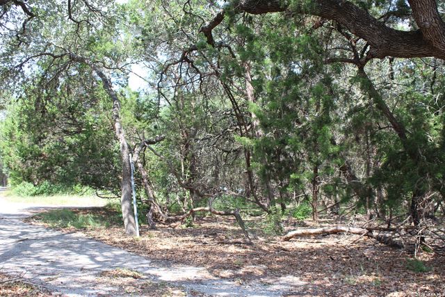 TBD Colleen, Canyon Lake, TX 78133
