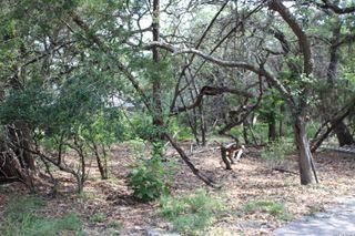 TBD Colleen, Canyon Lake, TX 78133