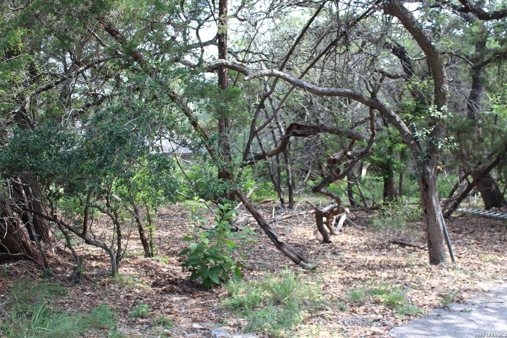 TBD Colleen, Canyon Lake, TX 78133