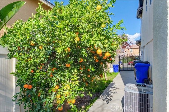 31271 Moss, Mentone, CA 92359