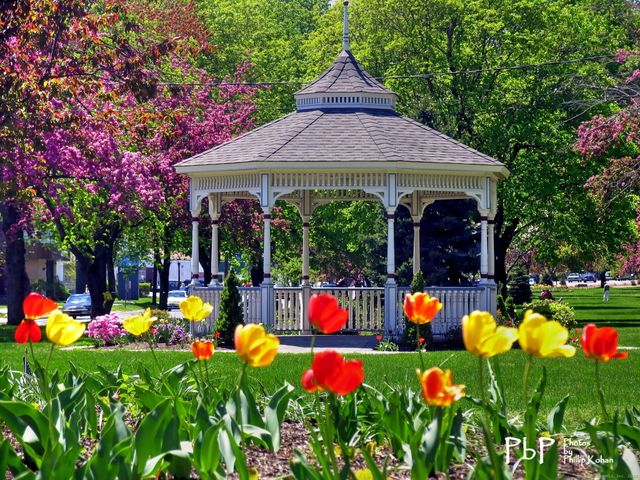 146 High Street APT 102, Milford, CT 06460