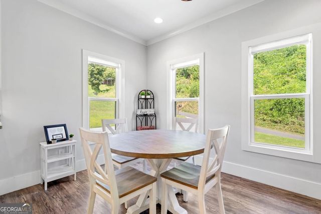165 Logan Lane, Ellijay, GA 30540