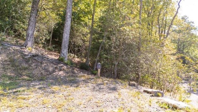 TBD Clear Creek Drive 17, Spruce Pine, NC 28657