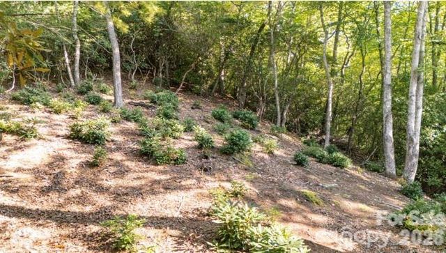 TBD Clear Creek Drive 17, Spruce Pine, NC 28657