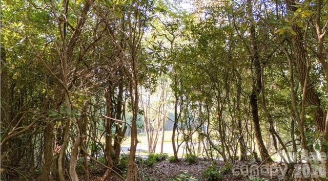 TBD Clear Creek Drive 17, Spruce Pine, NC 28657