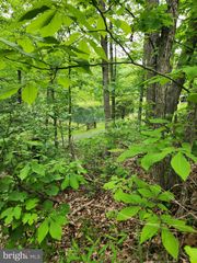 1367 ED ARNOLD RD, Augusta, WV 26704