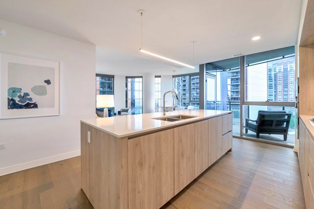 211 N Harbor Drive 3209, Chicago, IL 60601