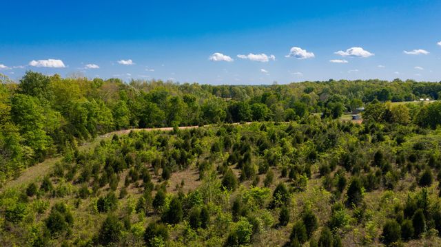 881 Coaling Rd, Charlotte, TN 37036