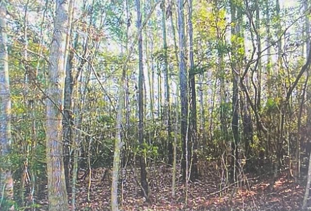 00 James Weston Drive, Mount Pleasant, SC 29429