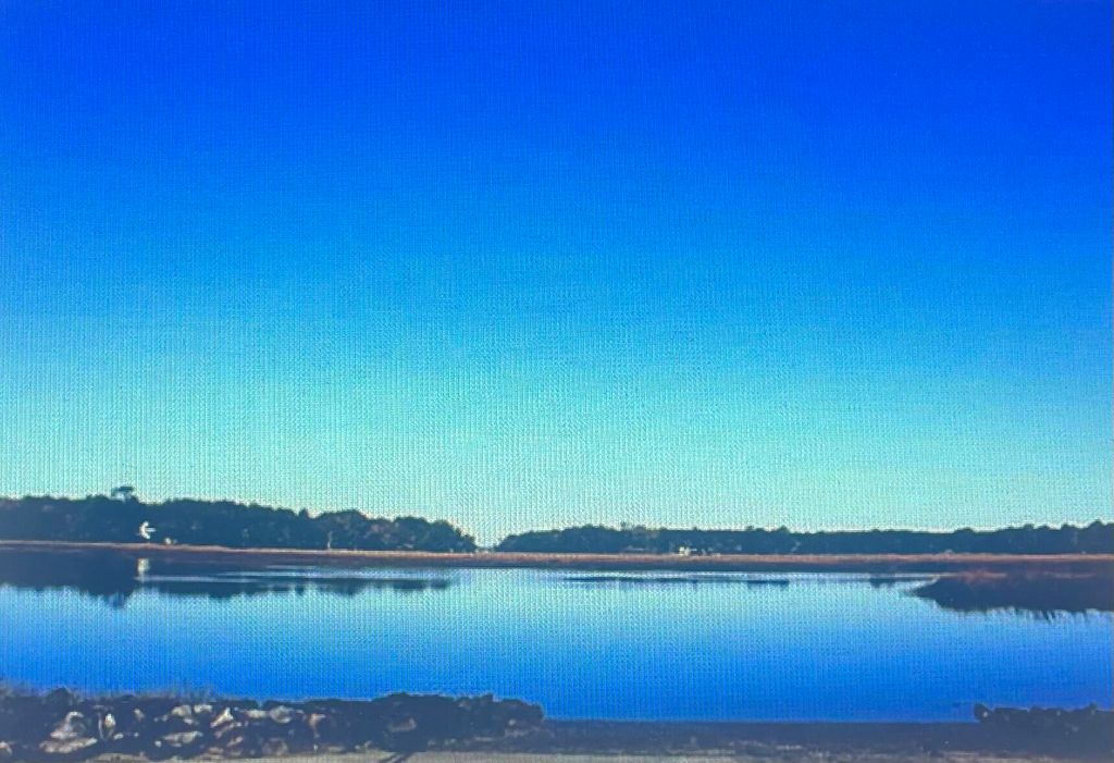 00 James Weston Drive, Mount Pleasant, SC 29429