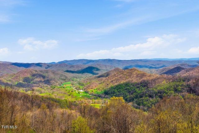 195 Log Cabin Lane, Roan Mountain, TN 37687
