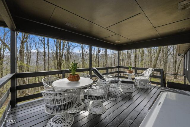 195 Log Cabin Lane, Roan Mountain, TN 37687