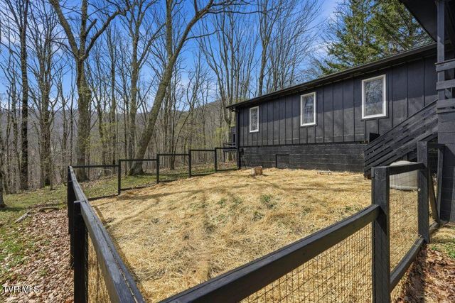 195 Log Cabin Lane, Roan Mountain, TN 37687