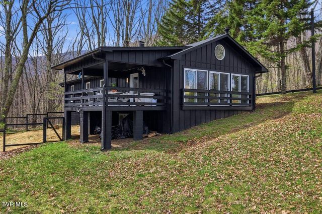 195 Log Cabin Lane, Roan Mountain, TN 37687