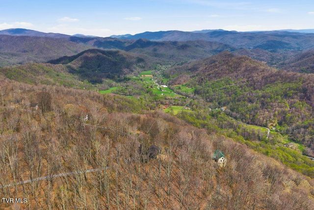 195 Log Cabin Lane, Roan Mountain, TN 37687